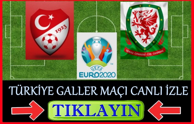 Türkiye Galler maçı canlı izle