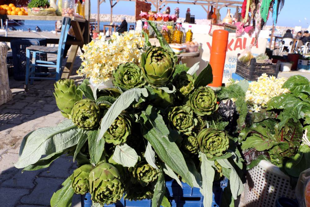 Karaburun Nergis Festivali 2020 başlıyor, etkinlik program açıklandı