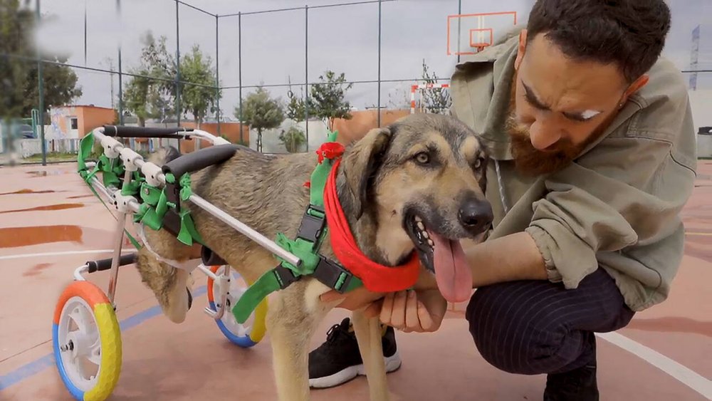 Hayat Tamircisi kimdir? Hangi kanalda, ne zaman, nerede çekiliyor? Hayat tamircisi sunucusu kim, nereli?