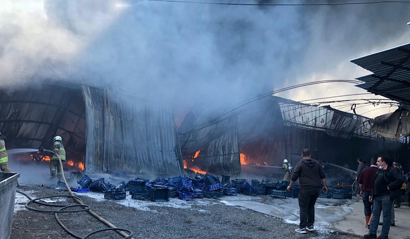 İzmir Menemen Emiralem Hali