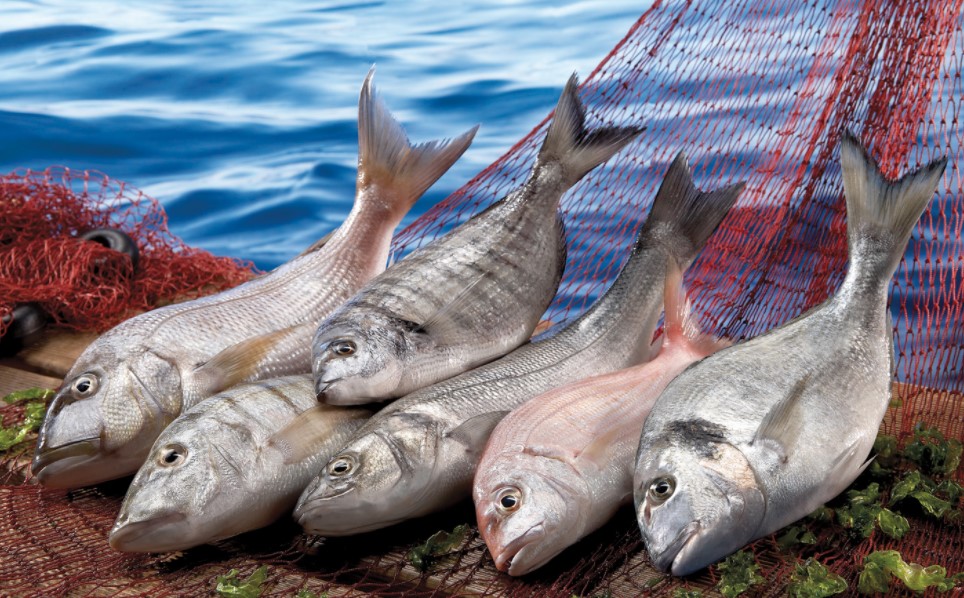 İzmir hal fiyatları 29 Ocak 2021 Cuma