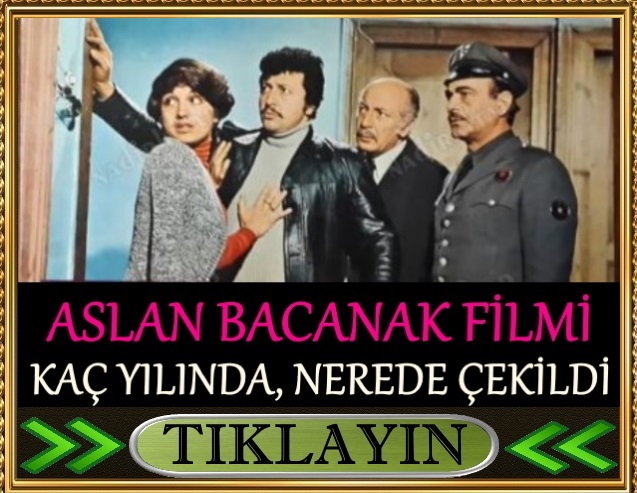 aslan bacanak filmi nerede çekildi kaç yılında