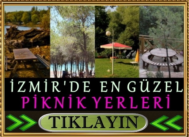izmir en güzel iyi piknik alanları yerleri 2021