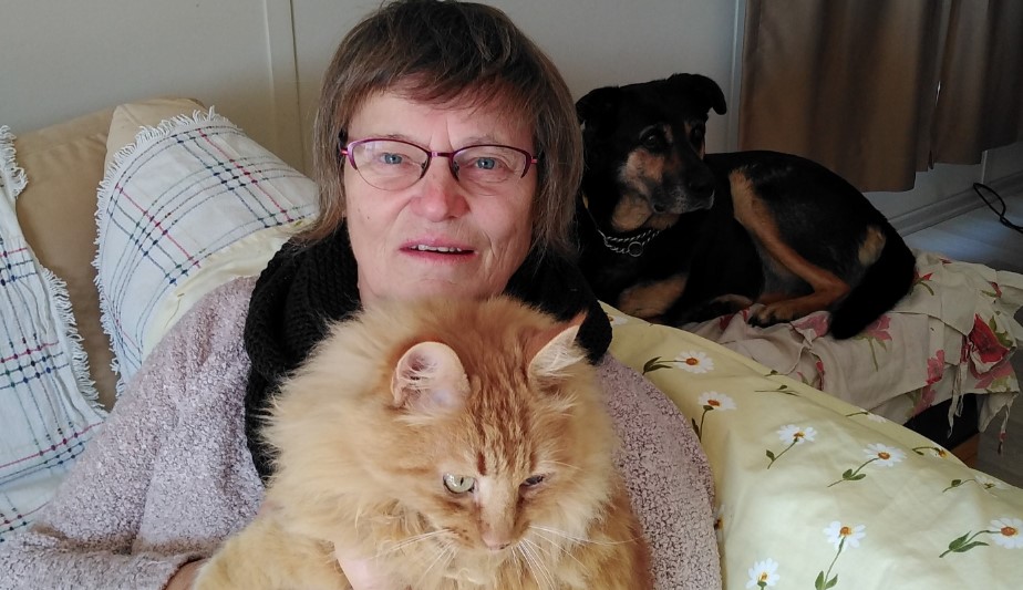 İzmir Dikili'de köpekler zehirlenerek öldürüldü