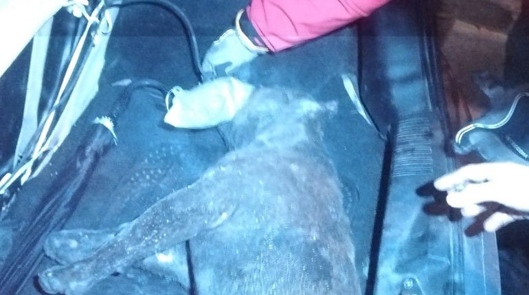 Bornova 2. Sanayi Sitesi'nde yangın çıktı, atölye kullanılamaz hale geldi