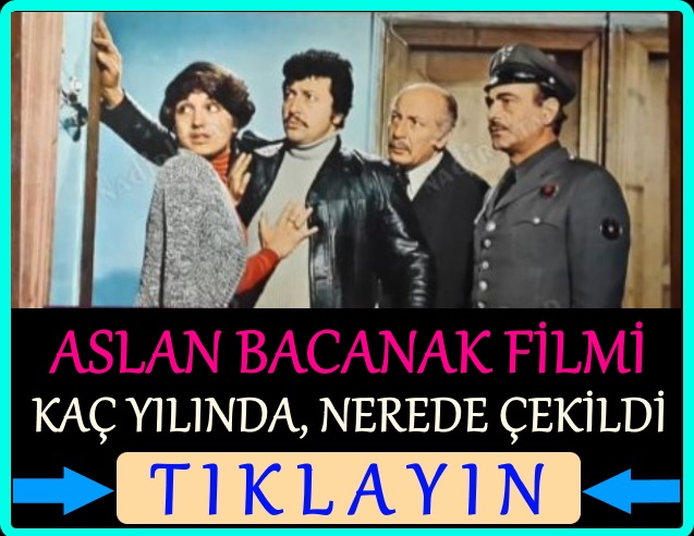 aslan bacanak filmi nerede çekildi