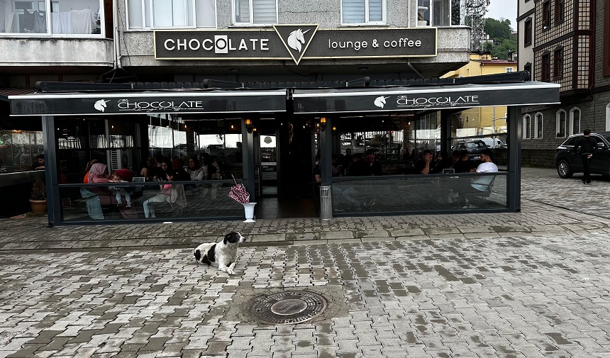 Chocolate Lounge Coffee