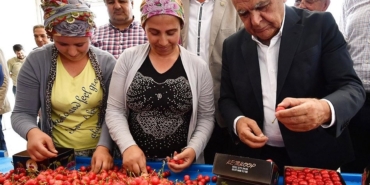 Büyükşehir Ödemiş’te Meyve Tesisi Kurdu