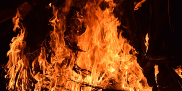 izmir, Bekir Pakdemirli