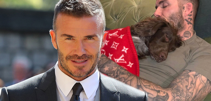 Galatasaray, Boluspor