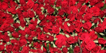 izmir, Aliağa, Serkan Acar, Aliağa Kent Kitaplığı, Aliağa Belediyesi