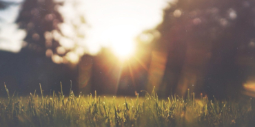 Konak, Konak elektrik kesintisi