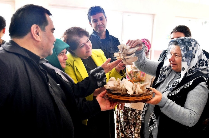 Altınordu, izmir, Spor Toto 1. Lig