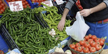 Mesut Özil, Amine Gülşe