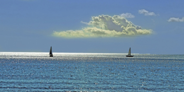 Trabzonspor, Altay, Karşıyaka, Akhisarspor