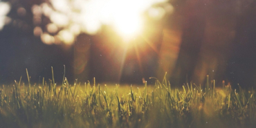 Buca, Kemalpaşa, Aziz Kocaoğlu, Nihat Zeybekci