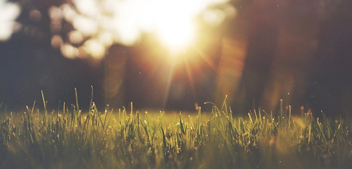 Buca, Kemalpaşa, Aziz Kocaoğlu, Nihat Zeybekci