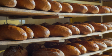 Karşıyaka, Aliağa, Balçova, Bayındır, Bornova, Gaziemir, Güzelbahçe, Karabağlar, Kemalpaşa, Konak, Menderes, Menemen, Ödemiş, Seferihisar, Urla