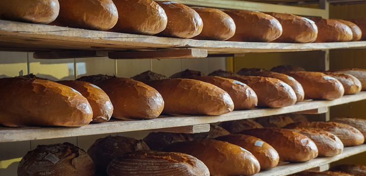 Karşıyaka, Aliağa, Balçova, Bayındır, Bornova, Gaziemir, Güzelbahçe, Karabağlar, Kemalpaşa, Konak, Menderes, Menemen, Ödemiş, Seferihisar, Urla