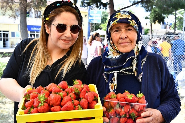 Altay, Altınordu, izmir, Spor Toto 1. Lig
