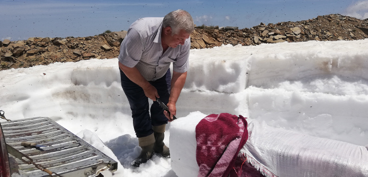 Fenerbahçe, Galatasaray, Altay, Türkiye