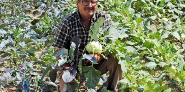 izmir, Foça, Yeni Foça