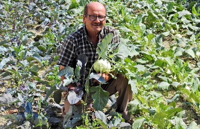 izmir, Foça, Yeni Foça
