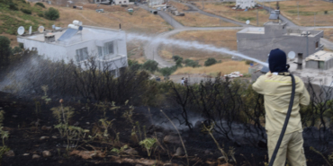 izmir, İzmir Büyükşehir Belediyesi, Buca Belediyesi, Belenbaşı Kiraz Festivali