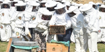 Karşıyaka, izmir, Bostanlı, Yaşar Üniversitesi