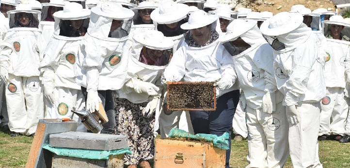 Karşıyaka, izmir, Bostanlı, Yaşar Üniversitesi