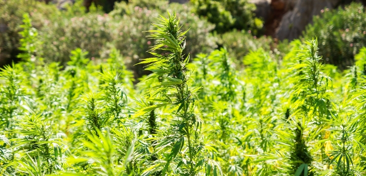 izmir, Cumhuriyet Halk Partisi, Türkiye, Atila Sertel