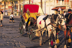 izmir, İzmir Büyükşehir Belediyesi, Tunç Soyer