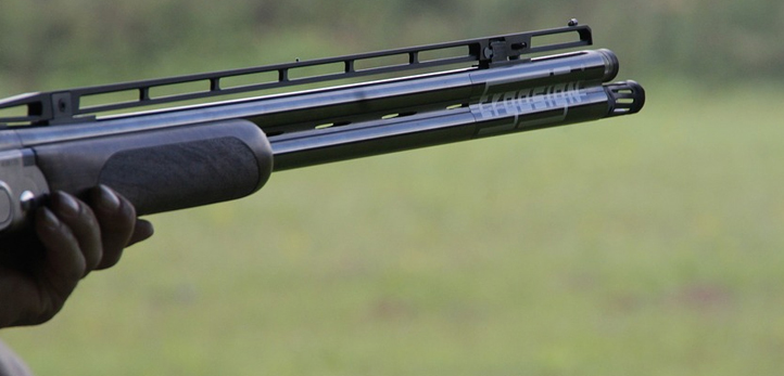 Karşıyaka, izmir, Karşıyaka Belediyesi, Mavişehir