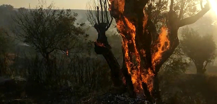 izmir, Türkiye İstatistik Kurumu, Türkiye