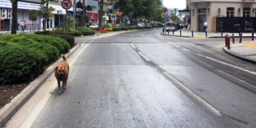 izmir, Ege İhracatçı Birlikleri, Türkiye, Ege Zeytin ve Zeytinyağı İhracatçıları Birliği