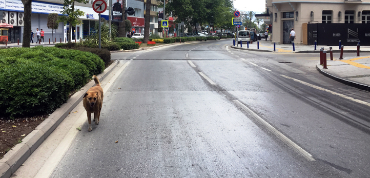 izmir, Ege İhracatçı Birlikleri, Türkiye, Ege Zeytin ve Zeytinyağı İhracatçıları Birliği