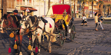 Recep Tayyip Erdoğan, Ege Üniversitesi