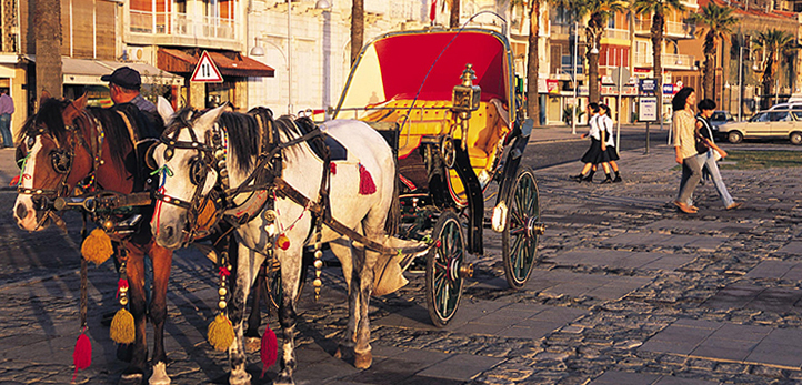Recep Tayyip Erdoğan, Ege Üniversitesi