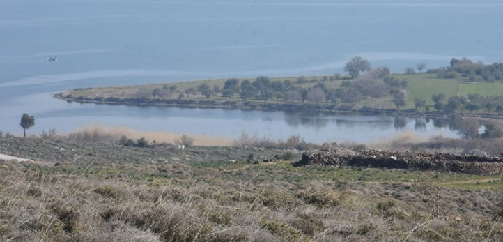 Urla, İzmir Büyükşehir Belediyesi, Urla Belediyesi