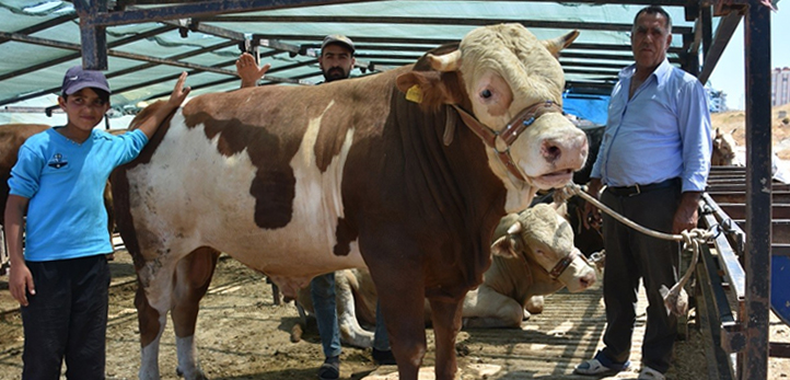 Göztepe, Menemenspor