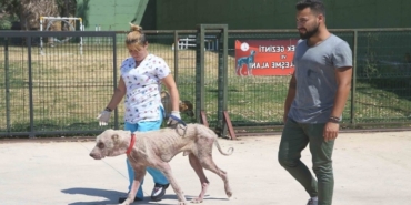 Buca, Mustafa Kemal Atatürk, Buca Belediyesi