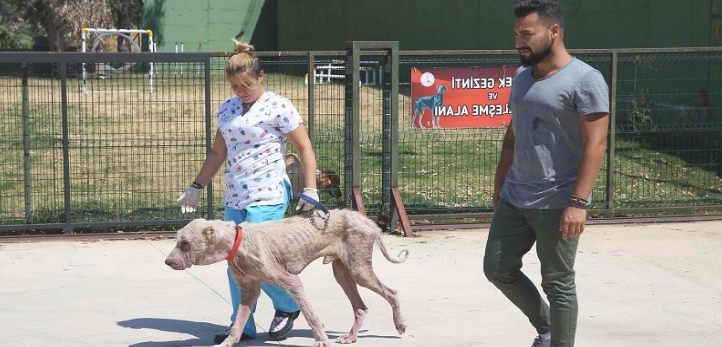 Buca, Mustafa Kemal Atatürk, Buca Belediyesi