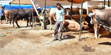 Çeşme, İzmir Yüksek Teknoloji Enstitüsü, Ildırı