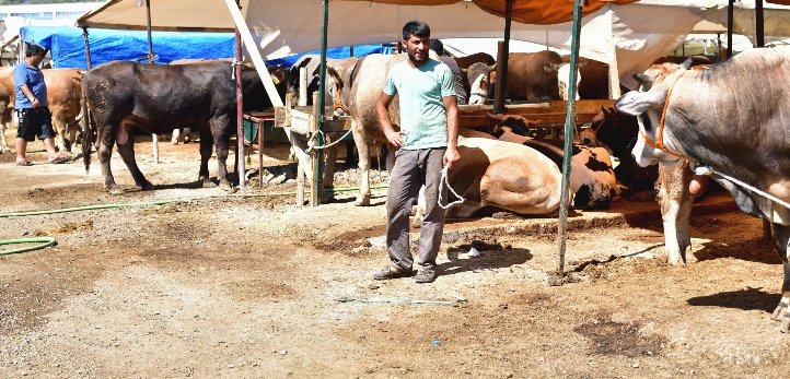 Çeşme, İzmir Yüksek Teknoloji Enstitüsü, Ildırı