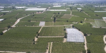 Urla, Urla Belediyesi, Burak Oğuz, Urla Tiyatro Festivali