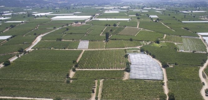 Urla, Urla Belediyesi, Burak Oğuz, Urla Tiyatro Festivali