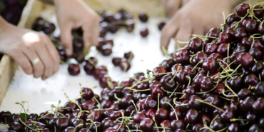 Göztepe, Tamer Tuna