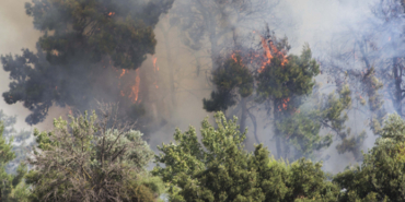 Karabağlar, Uzundere, Tunç Soyer