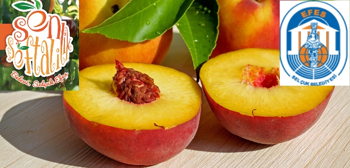 Bornova, Bornova Belediyesi, Mustafa İduğ, İzmirgaz