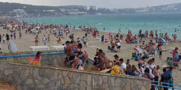 Ege Zeytin ve Zeytinyağı İhracatçıları Birliği